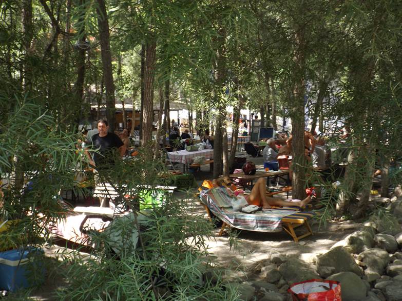  Image name: Image42.jpg 
 width: 783 pixel 
 height: 587 pixel 
 Size: 138404 bytes 
 Click to enlarge 